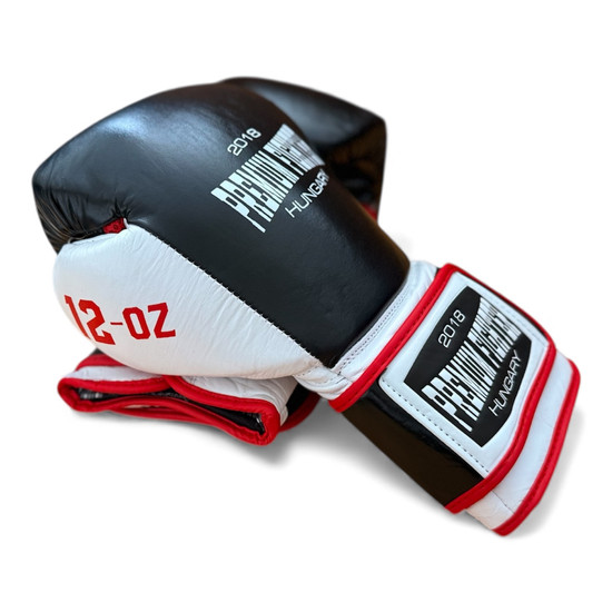 Premium Fighter - Training ( tricolor ) - kesztyű - update 2025